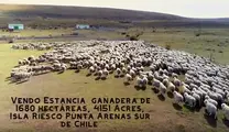 Vendo Campo en el sur de Chile