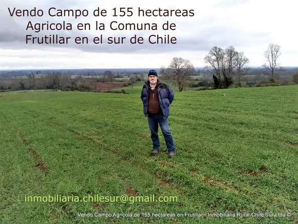 Vendo campo Agricola de 155 hectáreas sur de Chile - Mi actividad