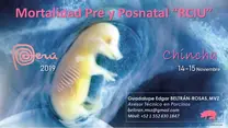 Mortalidad Prenatal