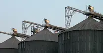 Colectores de polvo en Transportador de Cadena al silo