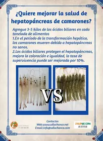 Protege la salud de hepatopáncreas