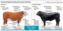 Características de dos razas de vacunos ganados