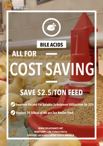 ¡Los ácidos biliares son su mejor opción para ahorrar costos!