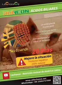 Innovador producto para mejorar el crecimiento de la cerda