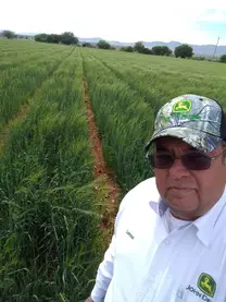 Visita de asesoría a campos de Cebada