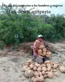 Día del campesino