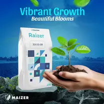 MAizer Raizer NPK 12-11-18 Fertilizer