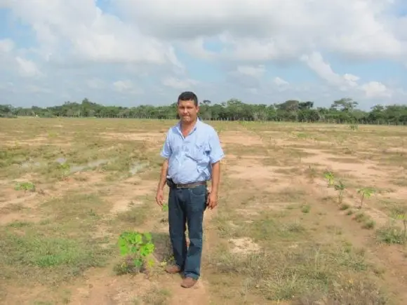 Fotos siembra cultivo de Jatropha Curcas en Bosconia y El Paso Cesar | Foto 9991