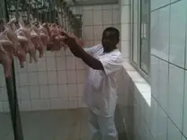 Processing of chicken in Cameroon