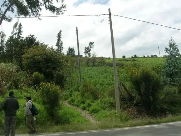 Valuaciones de predios agrícolas en el perú | Foto 10579