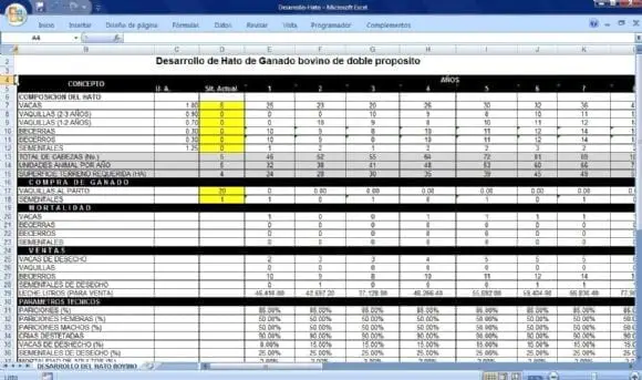 Desarrollo de hato bovino en Excel - Varias