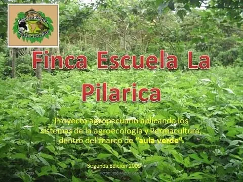 Finca Escuela La Pilarica Guayabo. | Foto 11170