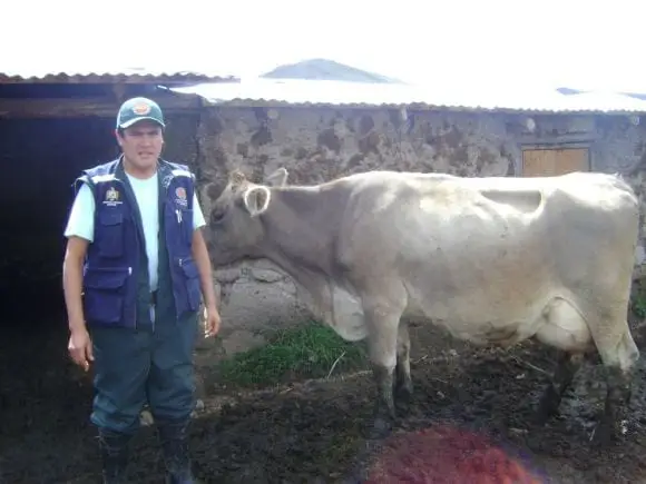 trabajos  en espinar | Foto 11620