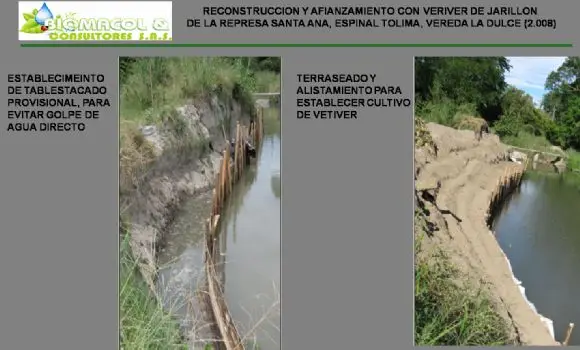 ESTABLECIMIENTO DE TRINCHOS Y ESTABILIZACION DE TERRENO - OBRAS CON VETIVER