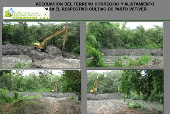 Estabilizacion de Terraplen - OBRAS CON VETIVER