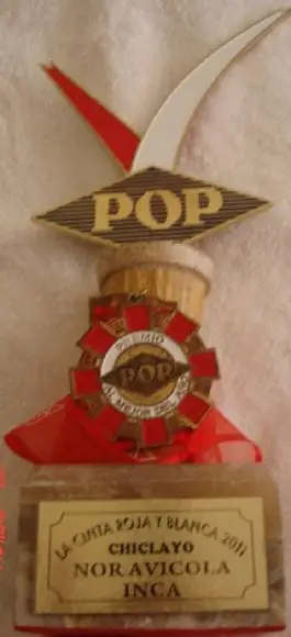 PREMIO POP 2010 - RECONOCIMIENTOS 