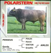 Polarsterm suizo europeo doble propósito