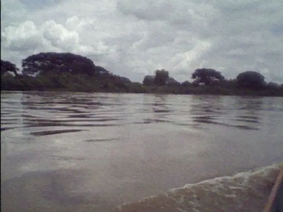 Río Daule - agrofoto
