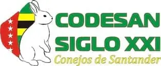 Codesan Siglo XXI - Codesan Siglo XXI