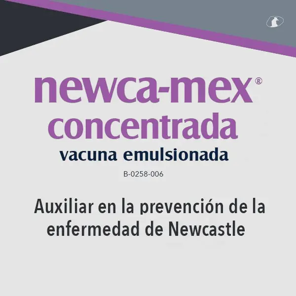Newca-mex® concentrada vacuna emulsionada