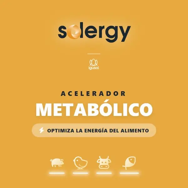 Solergy