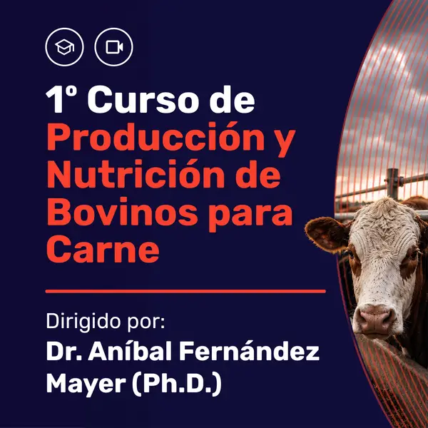Iº Curso de producción y nutrición de bovinos de carne