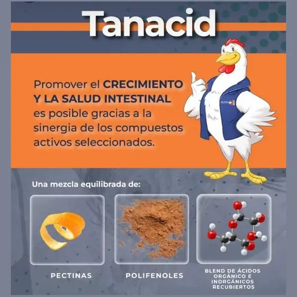 Tanacid - Crecimiento y salud intestinal