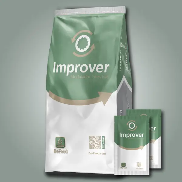 IMPROVER