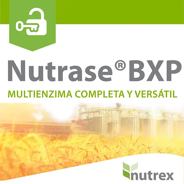 Nutrase® BXP