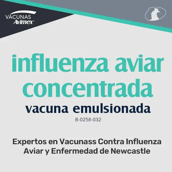 Influenza Aviar concentrada - Vacuna emulsionada