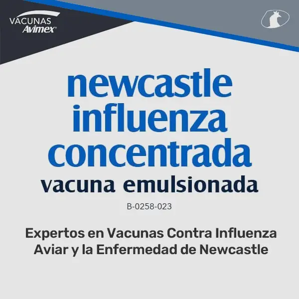 Newcastle Influenza concentrada - Vacuna emulsionada