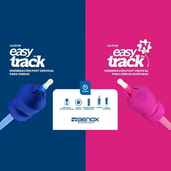 Catéter Easy Track - Post Cervical