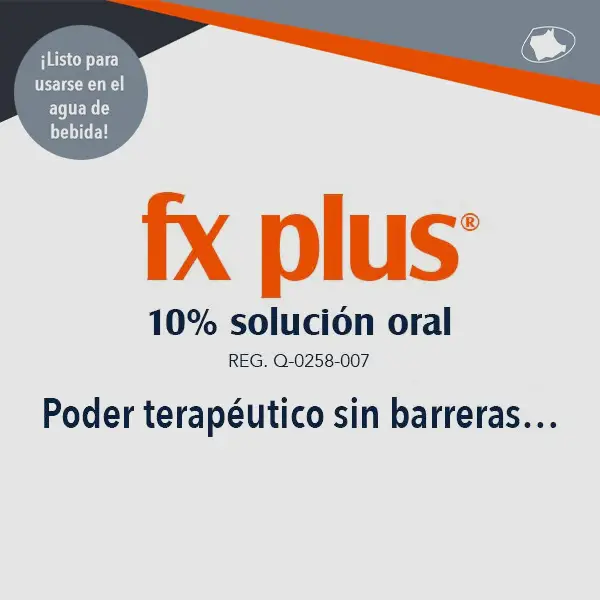 Fx plus®