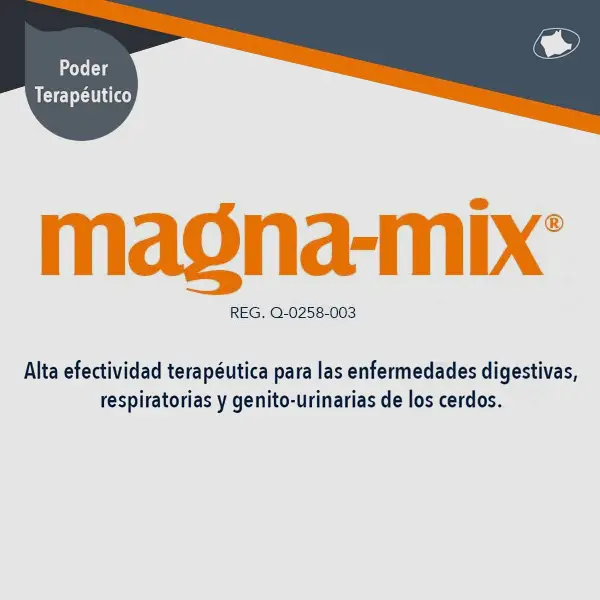 Magna-mix®