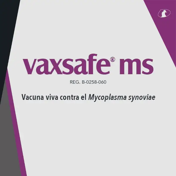 Vaxsafe® MS
