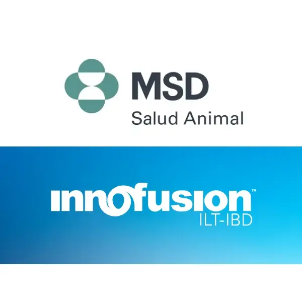 INNOFUSION ILT-IBD