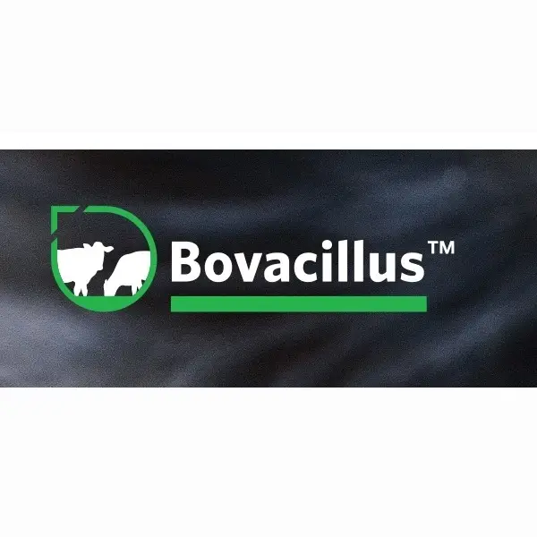 Bovacillus - Probiótico 