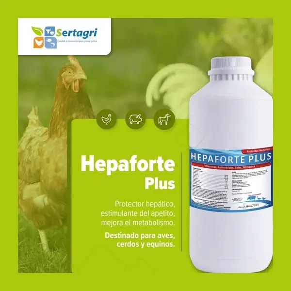 Hepaforte Plus - Protector Hepático