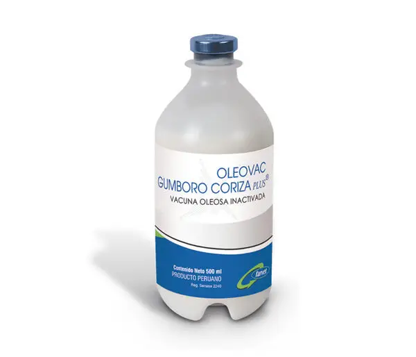 OLEOVAC HCI-NW-GUMBORO-CORIZA PLUS
