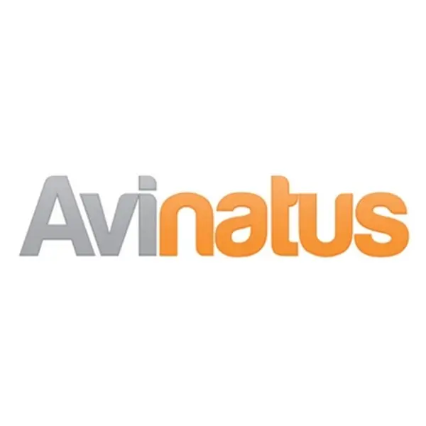 Avinatus