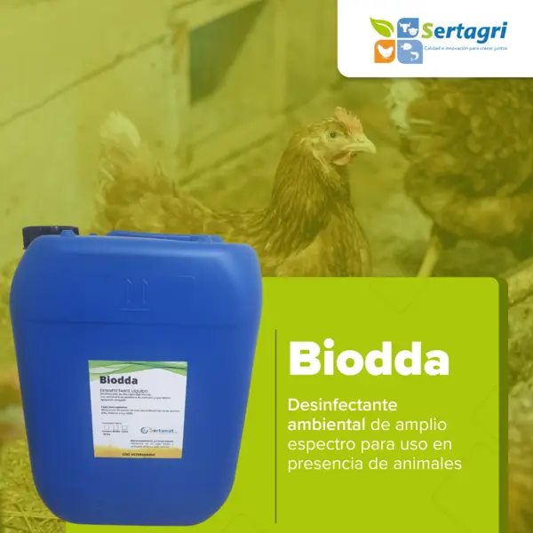 Biodda