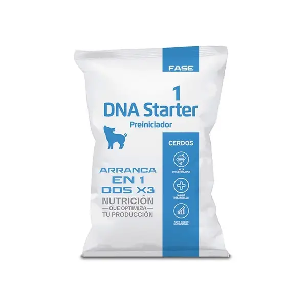 DNA Starter, fase 1 - Inicio