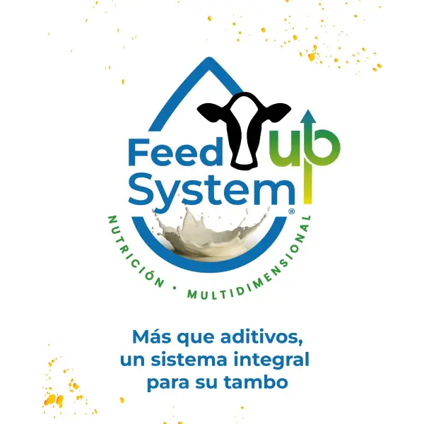 FEED Up System