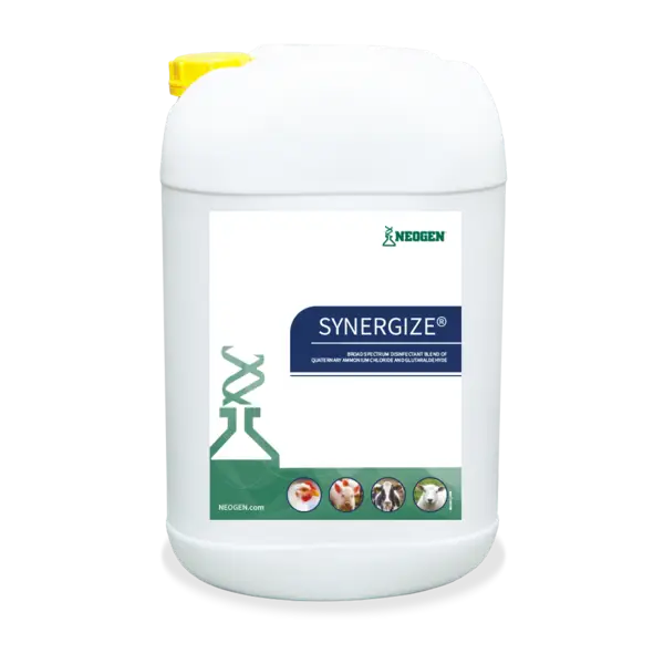 Synergize®