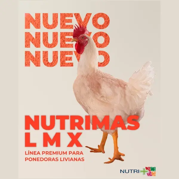 Nutrimas LMX - Ponedoras Livianas