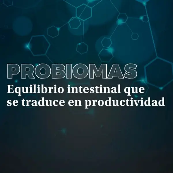 PROBIOMAS - Probiótico