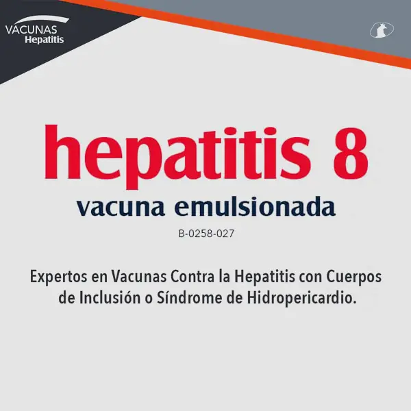Hepatitis 8 vacuna emulsionada