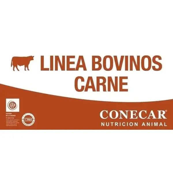 2-01 Feedlot. Alimento Balanceado para Bovinos de Carne