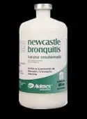 Newcastle - Bronquitis