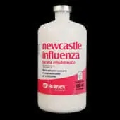 Newcastle - Influenza